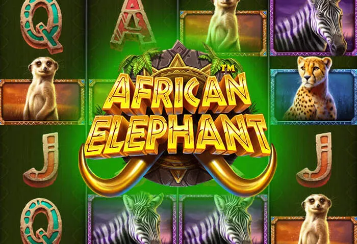 Supporto clienti Codice Senza Deposito e Bonus Golden Star Casino.